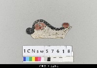 藏品(中國湖北皮影戲盔帽)的圖片